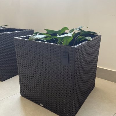 Cachepot Quadrado M (Outlet)